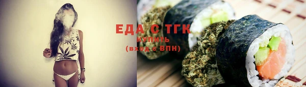 индика Бородино