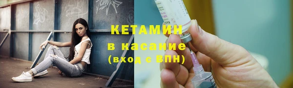 индика Бородино