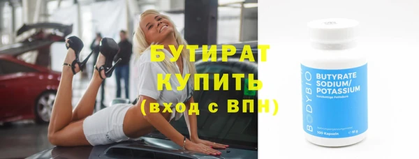 индика Бородино