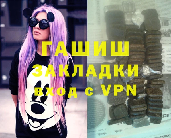 индика Бородино