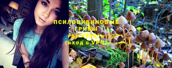 MESCALINE Верхний Тагил