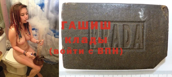 индика Бородино