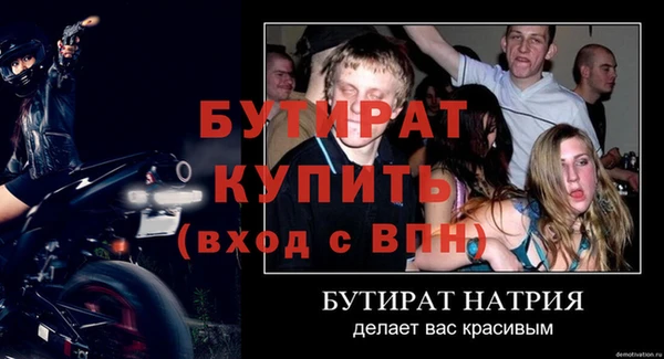 индика Бородино